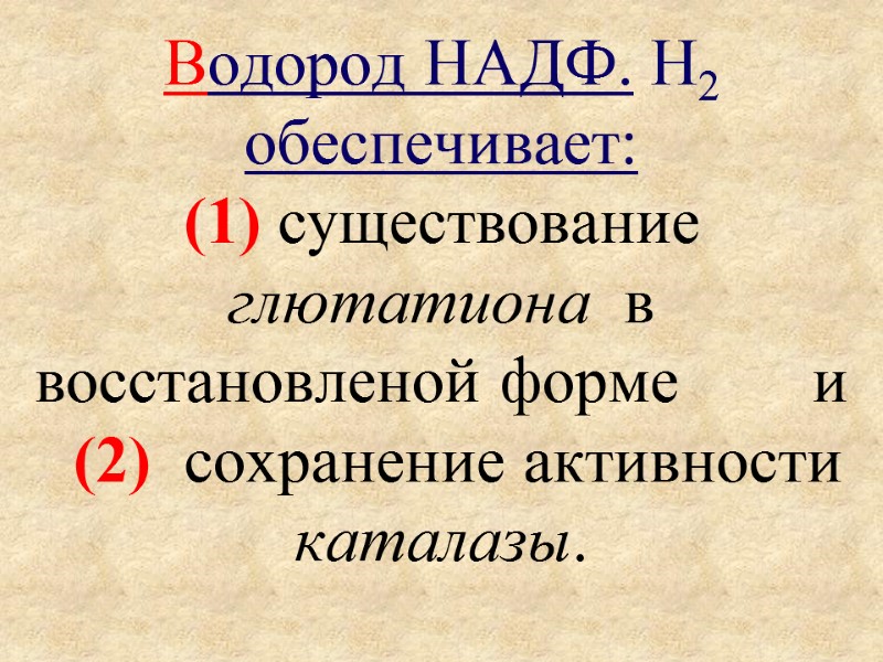 Водород НАДФ. Н2 обеспечивает:  (1) существование  глютатиона  в восстановленой форме 